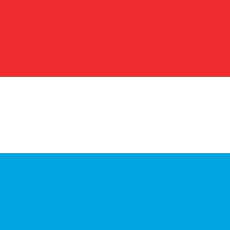 Luexembourg art science, Konschtwëssenschaften a Luxemburg, art-science luxembourgeois, Luxemburg Kunstwissenschaft