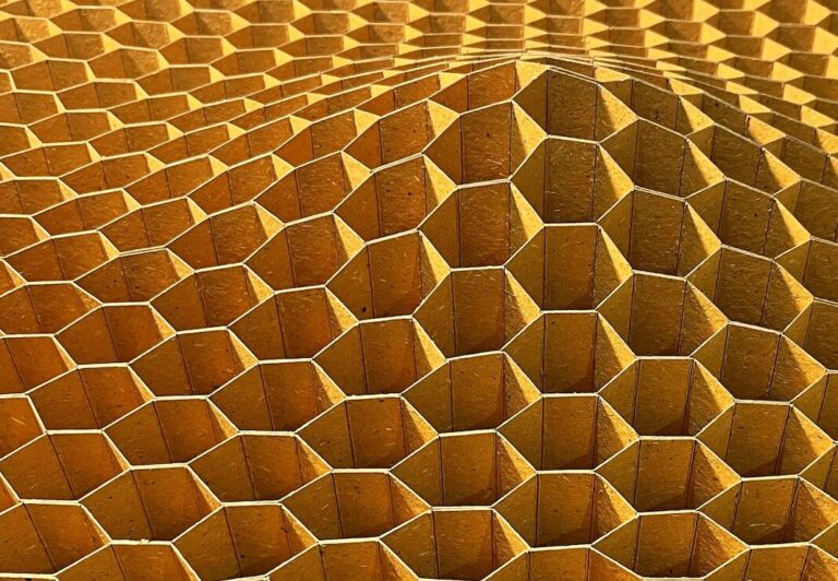 Peter Ayres World of Wasps