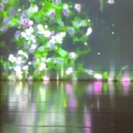 Life Parallels by Susana Igreja The Crearte Foundation