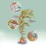 Lúcia Antunes Science Illustrator