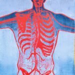 Anatomicum by Dr Alexandra Vasilyeva