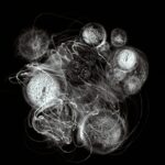 Yas Crawford, Cellular Flow