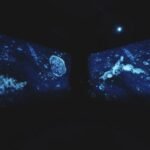 Devika Sundar LUSH, The CreARTe Foundation, Art-Science