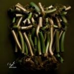 Francisco Enguita, The CreARTe Foundation