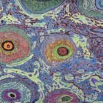 Jody Rasch Art, The CreARTe Foundation Art-Science