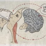 Jonathan Rosen Thirst, The CreARTe Foundation