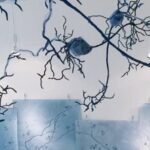 Kindra Crick Cerebral Entanglement, The CreARTe Foundation