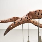 Ovalipes Ocellatus Bonnie Ralston