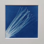 Cyanotype printing Eleonora Adami