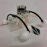 Robotany by Rachael Nee