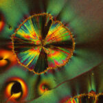 vitamin-c-and-mezcal-ivan-amato