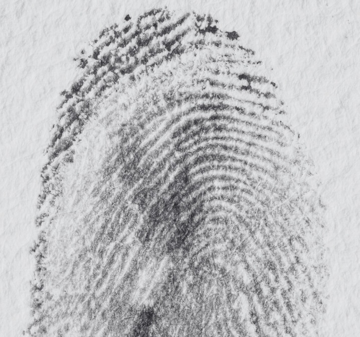 Motion Talks, The Crearte Foundation