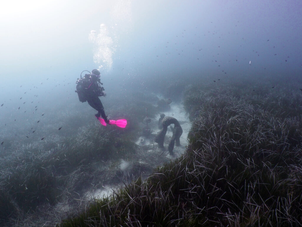 Ecological Design, Rasa Weber Diving