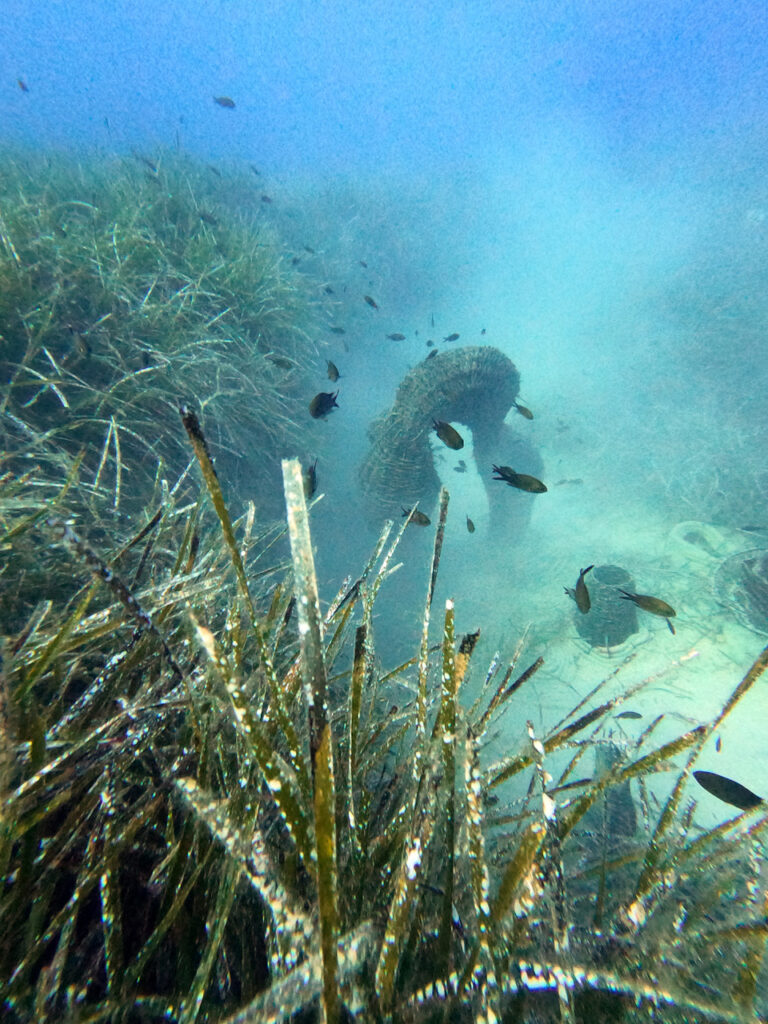 Ecological Design, Rasa Weber Diving