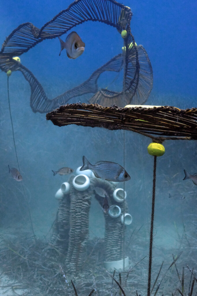 Ecological Design, Rasa Weber Diving