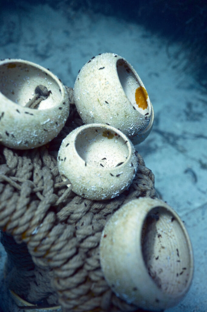 Ecological Design, Rasa Weber Diving