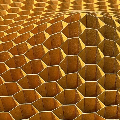 Peter Ayres World of Wasps